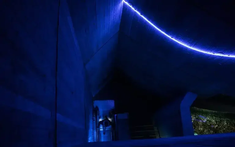 Join the world’s most friendly community