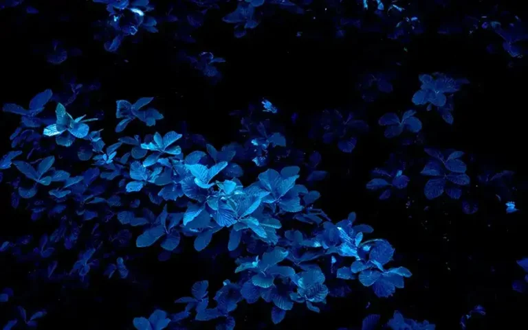 Automatically add effects to your photo in seconds