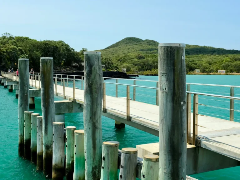 Let us help you live the new year resolutions you never keep