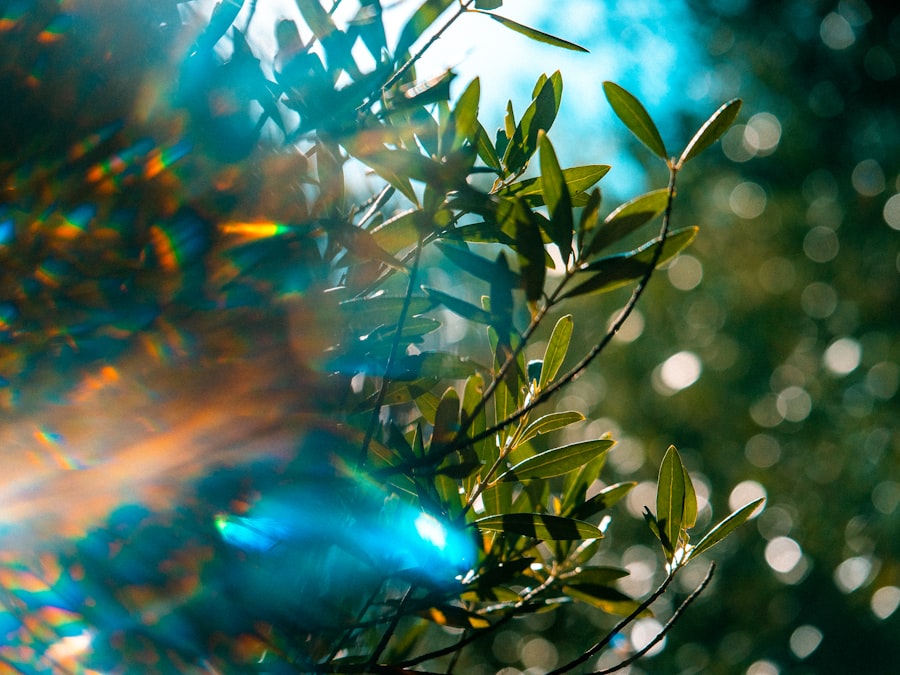 Photo Prism
