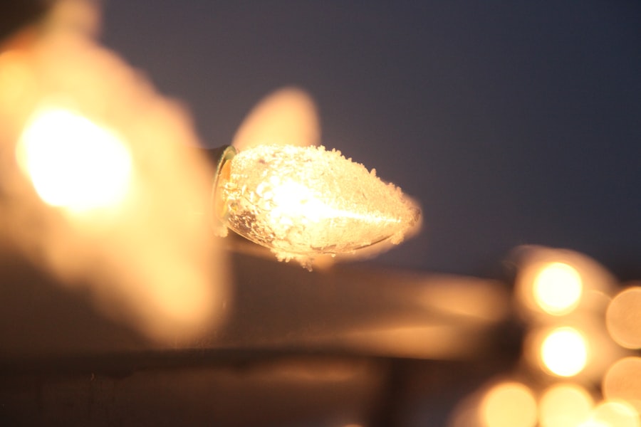 Photo Echo
