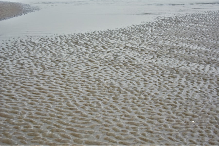 Photo Tide