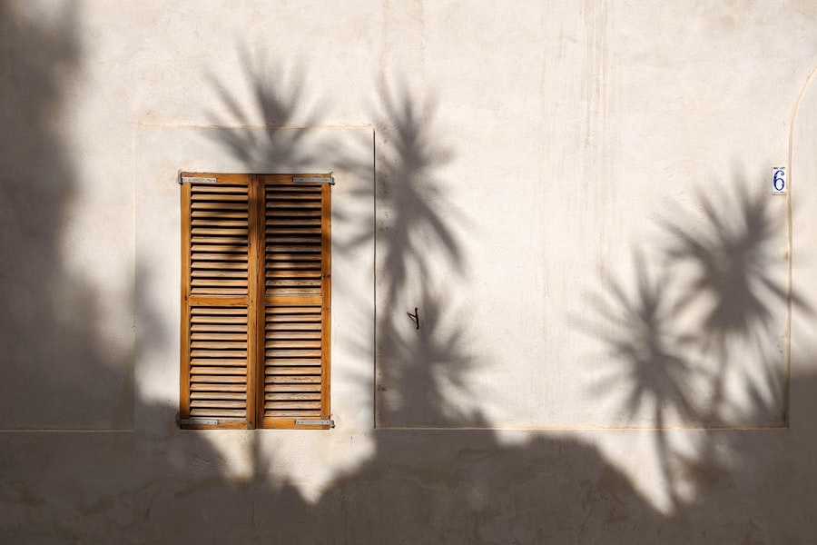 Photo Shadow
