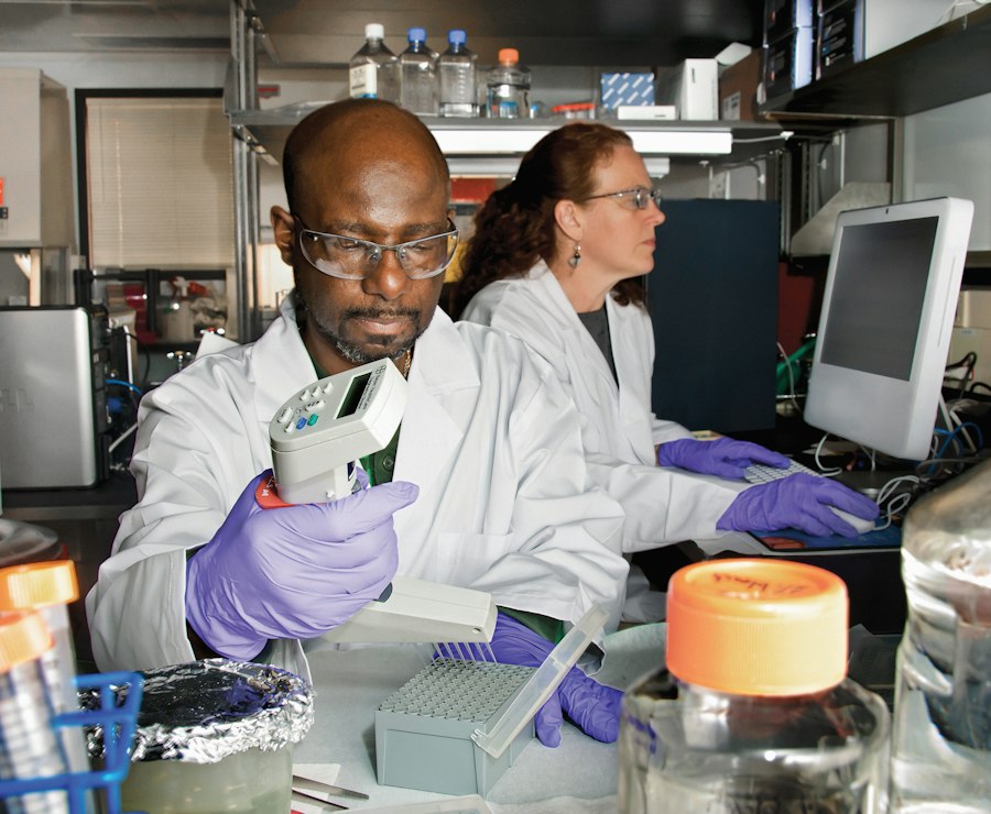 Citizen Data Scientists
